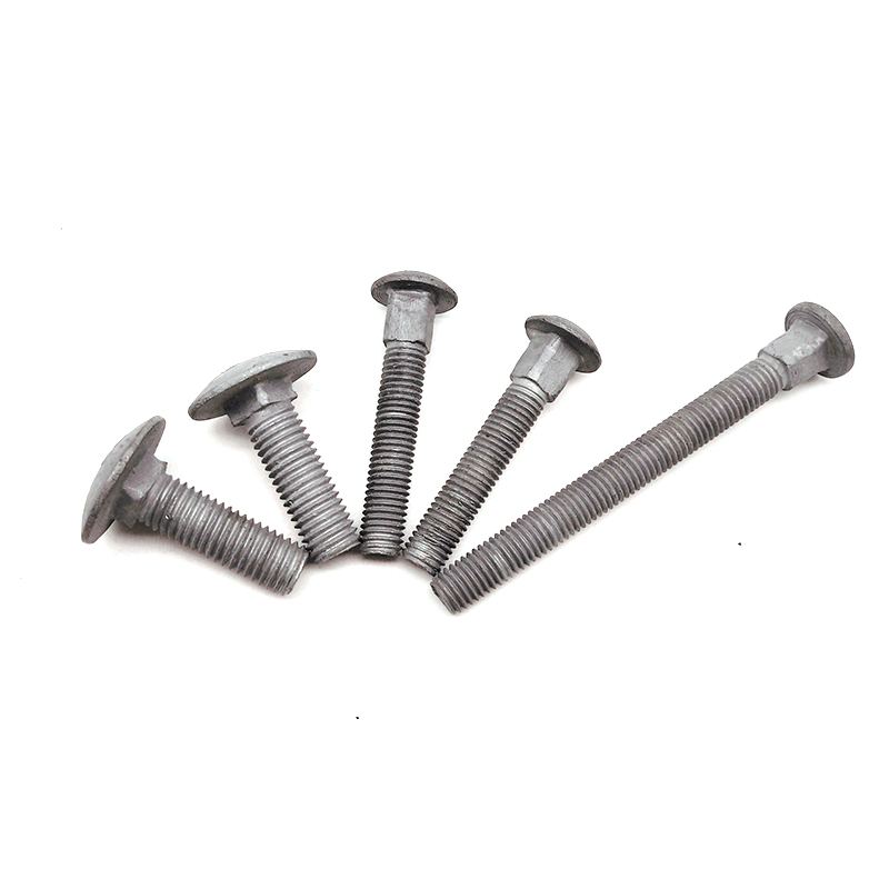 Carriage Bolts DIN603 Carriage Bolts DIN603